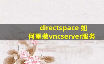 directspace 如何重装vncserver服务